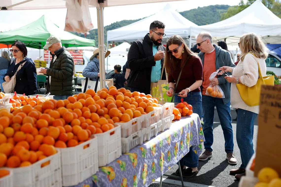 Mr Trump's team insists that using tariffs to reorientate the American economy will produce an economic nirvana in the long term.