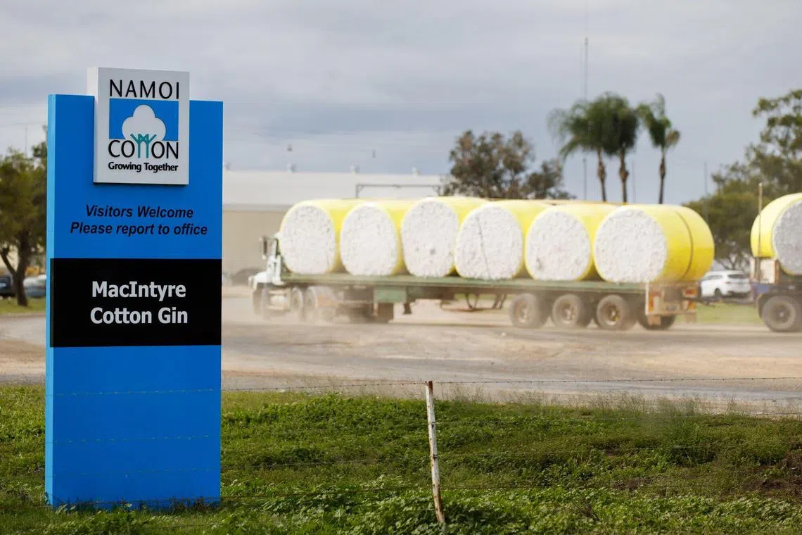 Namoi had asked shareholders to reject Louis Dreyfus’ A$138.6 million offer, saying it was not fair and reasonable in light of Olam’s offer.
