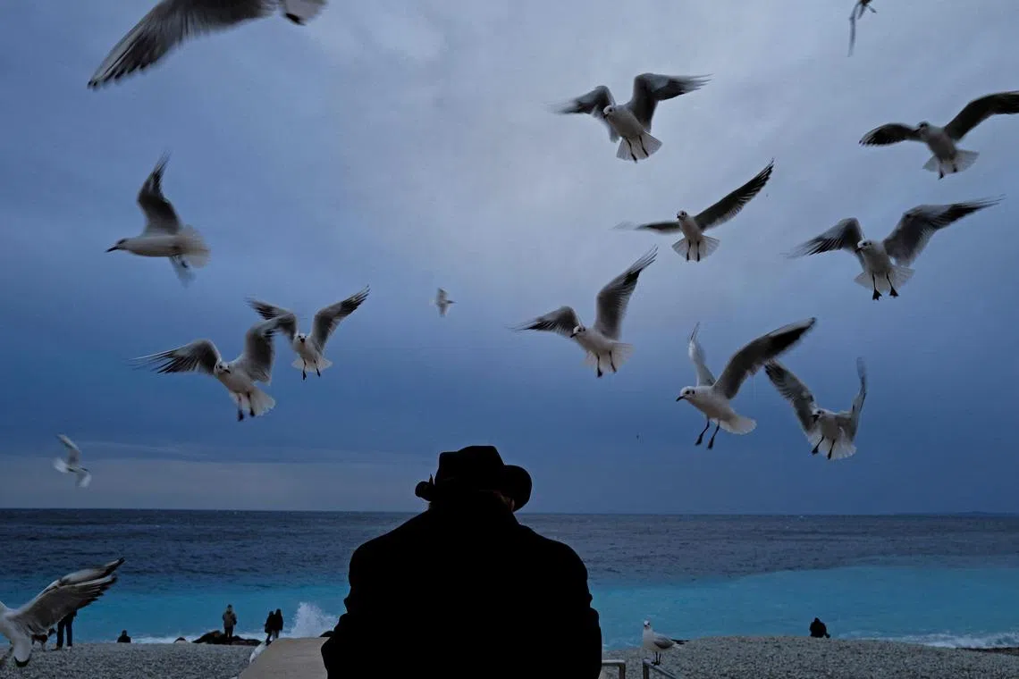 A man looking at seagulls on the French riviera city of Nice, on Jan 18, 2026.
