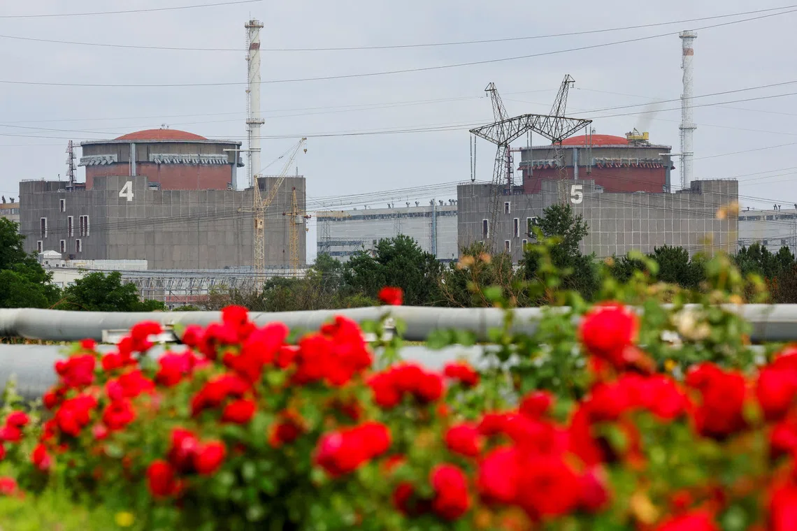 A view through flowers shows the Zaporizhzhia Nuclear Power Plant in the Zaporizhzhia region, Russian-controlled Ukraine, June 15, 2023. REUTERS/Alexander Ermochenko