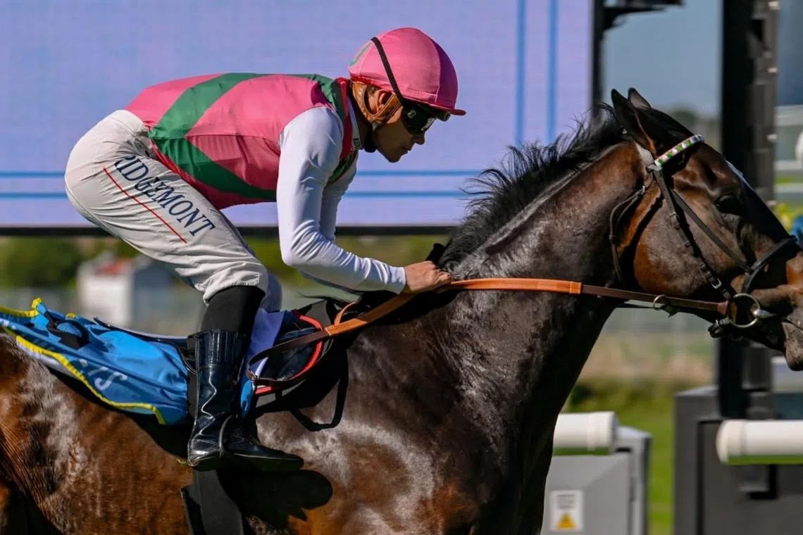 2YO Reef Runner impresses on debut
