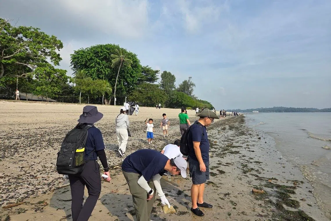On May 22, the Pan Pacific Conservation Foundation announced its support for local environmental causes during a beach clean up at Changi Beach Park timed with the International Day for Biological Diversity.