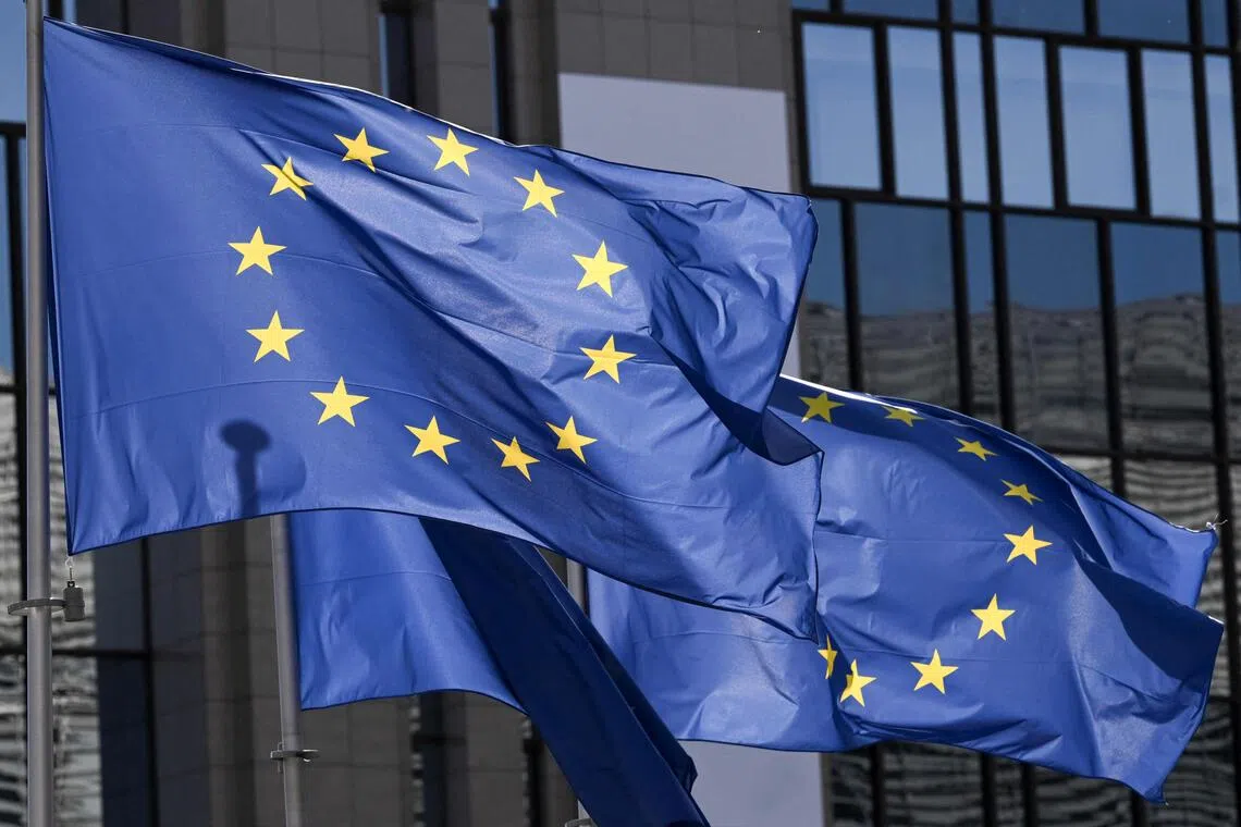 The EU's Digital Services Act (DSA) requires all social networks and search engines to clamp down on illegal and harmful content on their platforms.