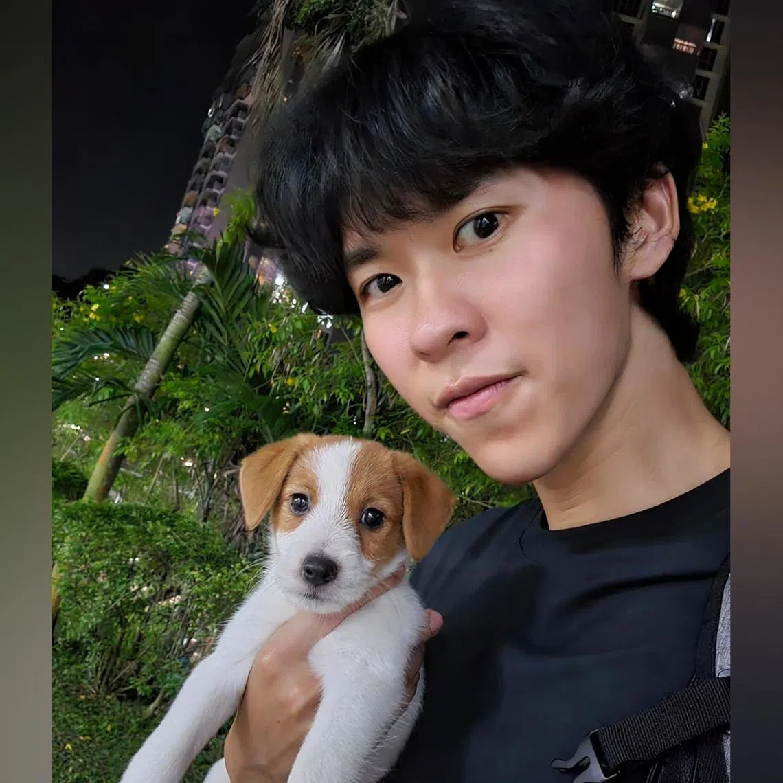 Actor Herman Keh and his dog Skippy, a one-year-old Parson Russell terrier.