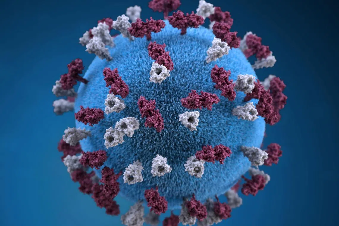 An illustration provides a 3D graphical representation of a spherical-shaped, measles virus particle studded with glycoprotein tubercles in this handout image obtained by Reuters April 9, 2019.  Centers for Disease Control and Prevention (CDC)/Handout via REUTERS  ATTENTION EDITORS - THIS IMAGE WAS PROVIDED BY A THIRD PARTY.
