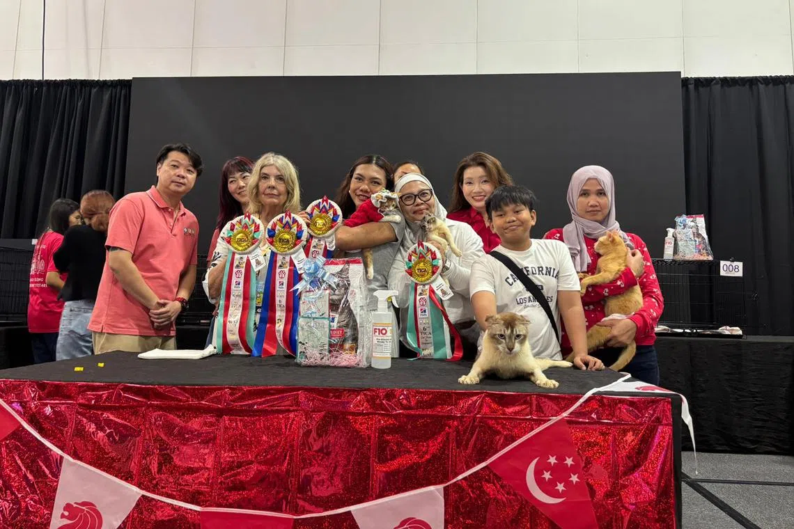 Ms Julie Chong (fourth from right) and her cats Yoona, Awal and Mika at The International Cat Association Cat Show.