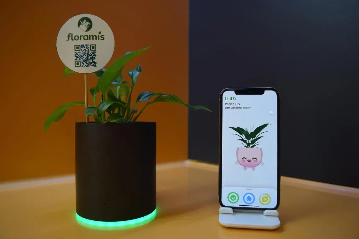 This Blüm Smart Planter by Floramis brings the office environment to life by transforming plants into virtual characters called Floramis, giving employees the benefits that come with having an office pet without the commitment. Floramis will tell you when their real life counterparts are thirsty and also act as virtual buddies that help with booking meeting rooms, or even offering short guided meditation sessions if you feel stressed out. In doing so, these characters gamify the office experience and encourage employee interaction with the office space.