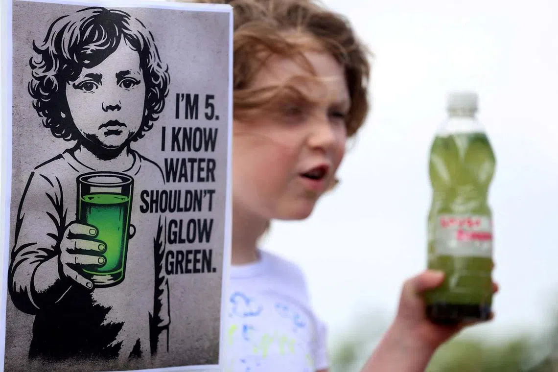 A girl joining members of the Save Lough Neagh group to take part in a "Rally for the Lough", highlighting the issue of cyanobacteria that has caused parts of the lake to turn green, in Antrim, Northern Ireland, Aug 25, 2025. 