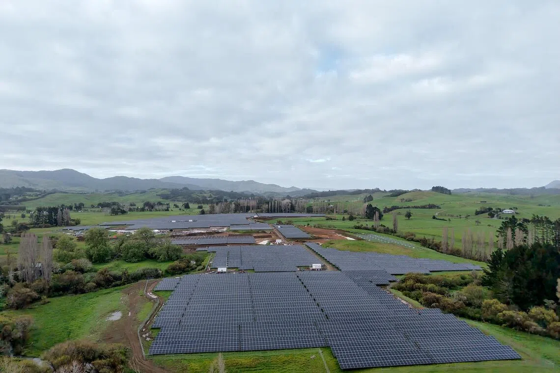 SC Oscar's Twin Rivers solar power project near Kaitaia on the northern tip of New Zealand's North Island.  PHOTO: THOMAS SCHENKELS