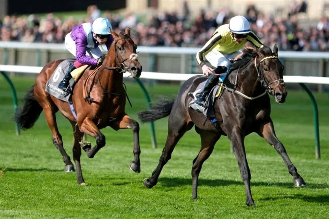The then James Owen-trained Wimbledon Hawkeye (James Doyle) beating Royal Playwright (Oisin Murphy) in the Group 2 Royal Lodge Stakes (1,600m) at Newmarket on Sept 28, 2024. He is now trained by George Scott for Victorious Forever and will interestingly be ridden by Murphy in the Group 1 Grand Dallmayr Prize (2,000m) in Munich on July 26.


PHOTO: RACING AND SPORTS