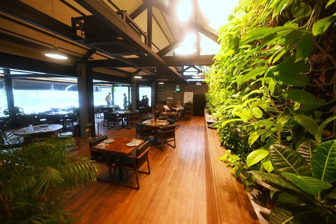 The Naked Finn, a restaurant that has been in the area since 2012, at Block 39 Gillman Barracks.
