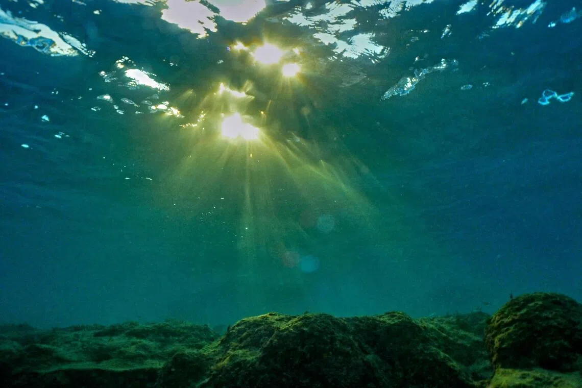 The phenomenon occurs when the sea surface temperature in the eastern and central equatorial Pacific is much warmer than normal.