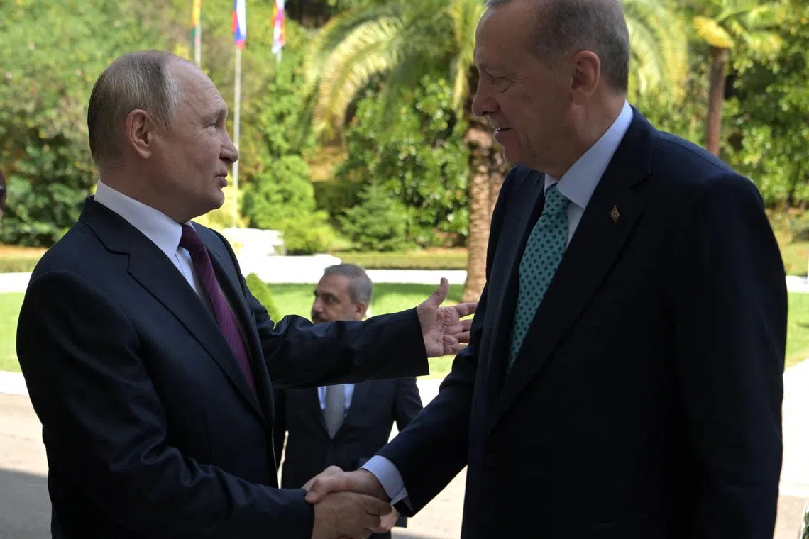 FILE PHOTO: Russian President Vladimir Putin welcomes Turkish President Tayyip Erdogan during a meeting in Sochi, Russia, September 4, 2023. Sputnik/Alexei Nikolskyi/Kremlin via REUTERS/File Photo