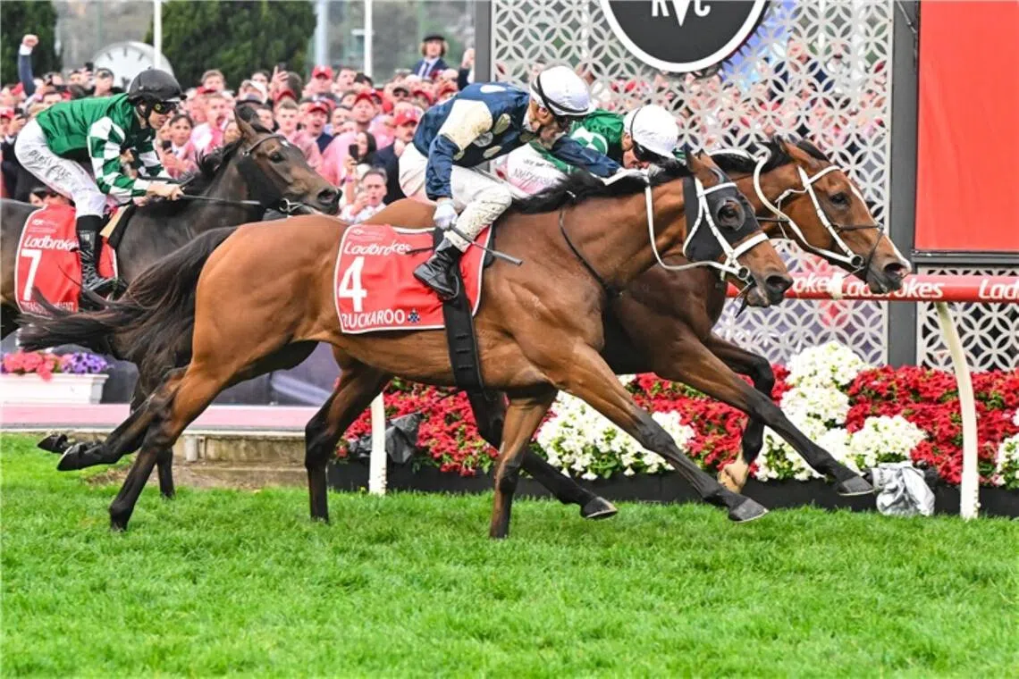 coxplate26 - Via Sistina


