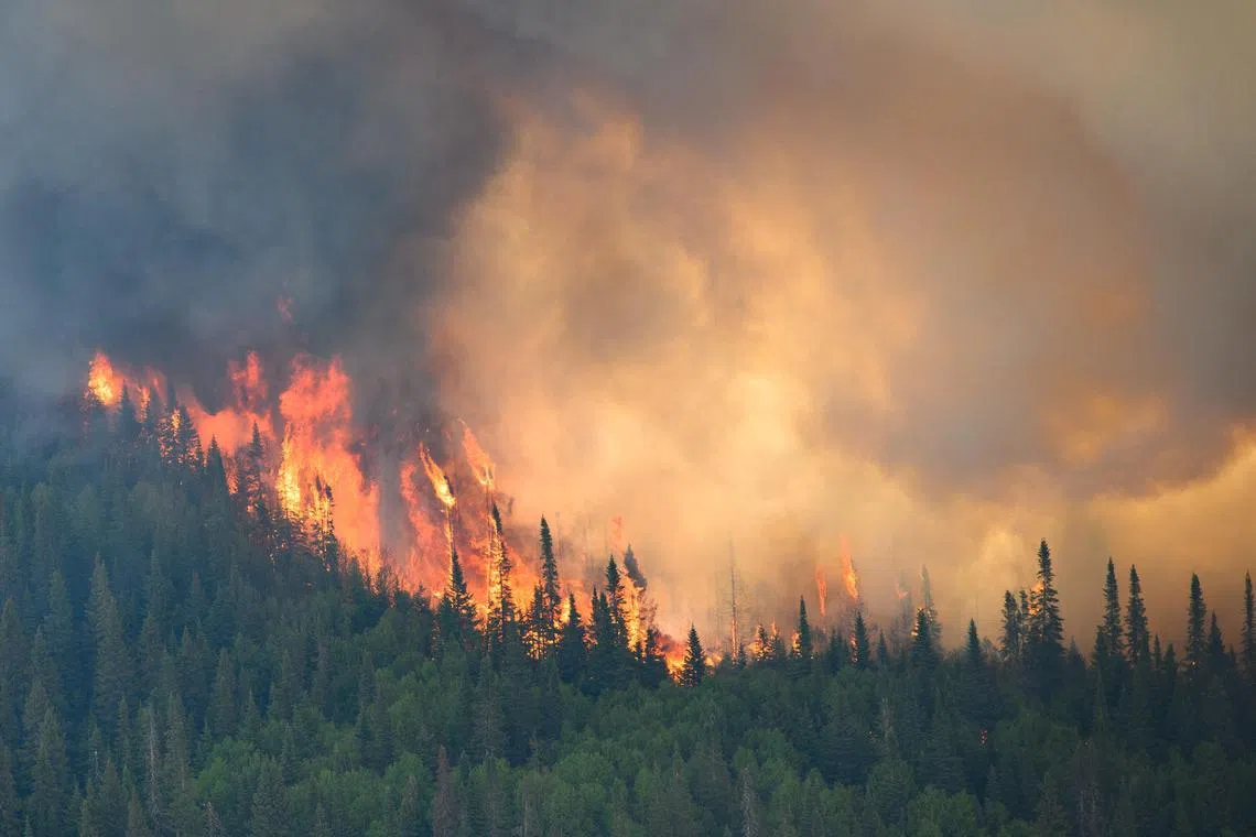 Flames reach upwards along the edge of a wildfire as seen from a Canadian Forces helicopter surveying the area near Mistissini, Quebec, Canada June 12, 2023.   Cpl Marc-Andre Leclerc/Canadian Forces/Handout via REUTERS THIS IMAGE HAS BEEN SUPPLIED BY A THIRD PARTY
