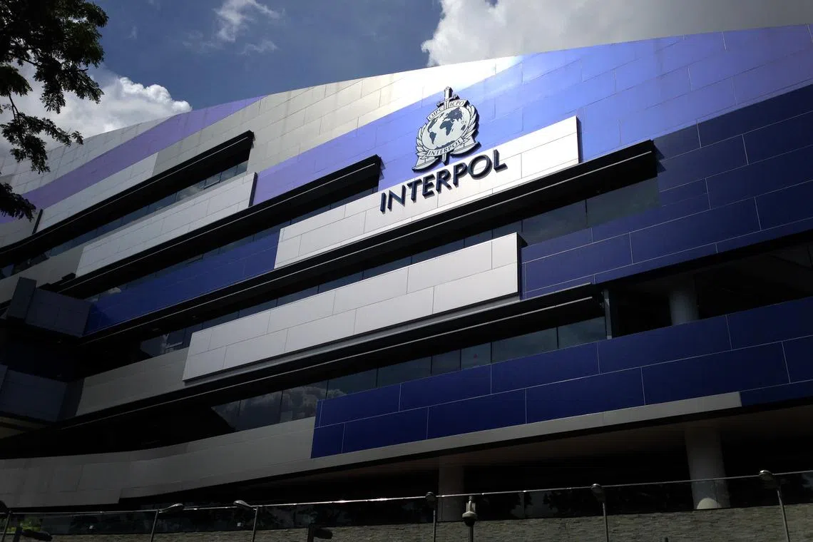 Interpol said the Silver Notice is being rolled out in a pilot phase involving 52 countries and territories.