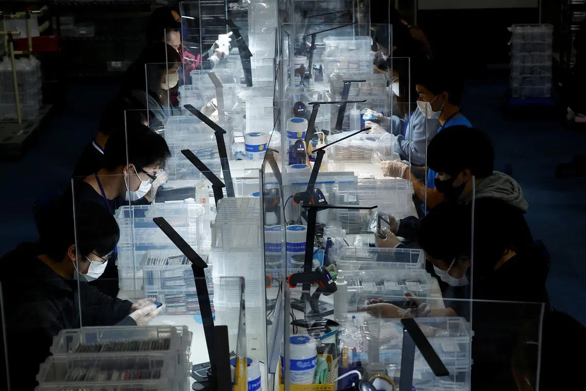 Workers clean used iPhones at an operations centre of Belong Inc, a unit of trading house Itochu Corp that sells used phones and tablets online, in Zama, Kanagawa Prefecture, Japan October 27, 2022. 