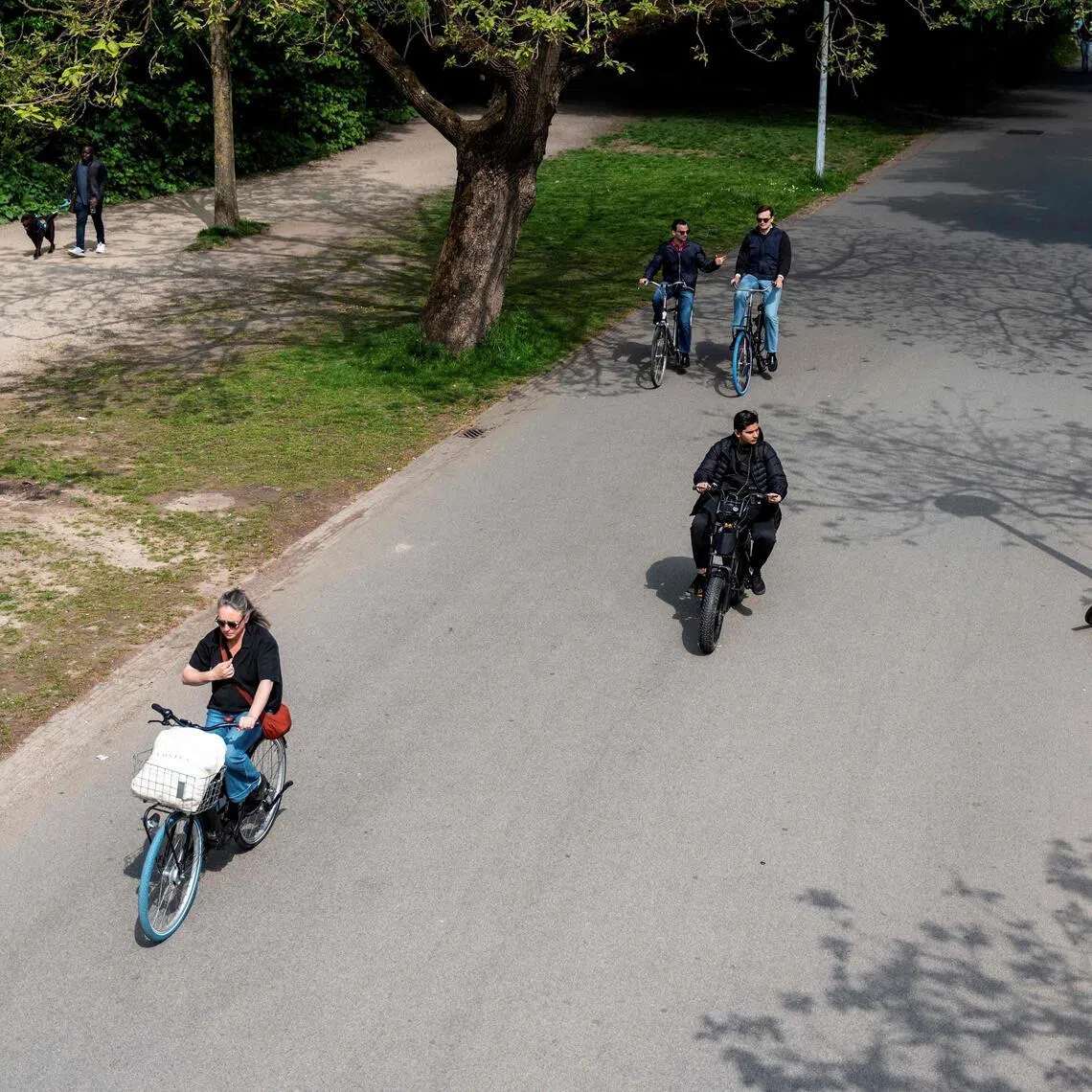 Fatbikes are electric bikes that look like squat motorcycles and can reach speeds of up to 60 kmh.