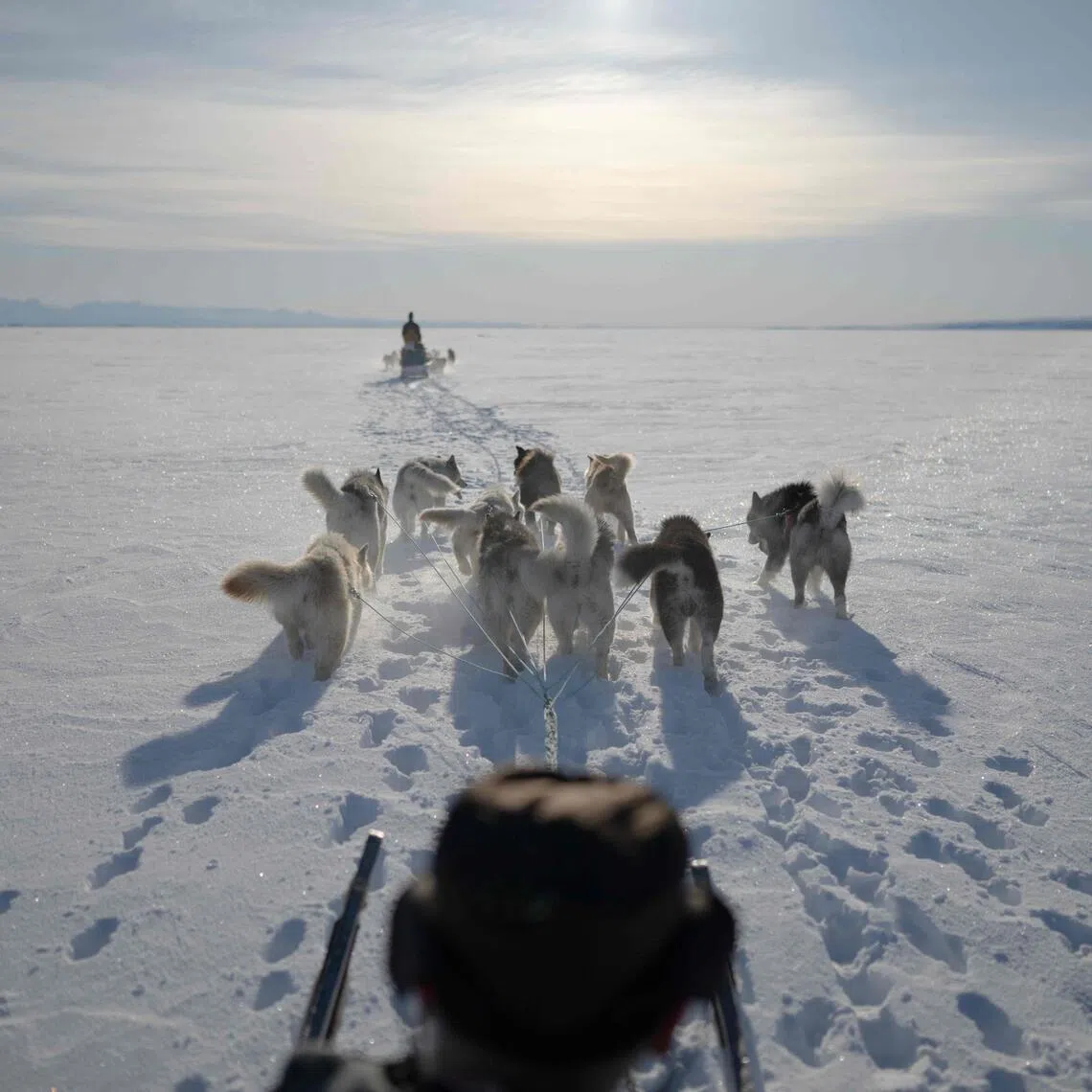 (FILES) An Inuit hunter rides his dog sled on the soft sea ice as he looks for seal outside Ittoqqortoormiit on the frozen Scoresbysund Fjord on April 28, 2024. Greenland's dogsled federation said on January 19, 2026 that the new US special envoy to the Arctic island had been disinvited to its annual race, as Washington repeatedly threatens to take over the autonomous Danish territory.  Jeff Landry had been invited to attend the race by a private Greenlandic tour operator, an invite the KNQK federation has previously called "totally inappropriate". (Photo by Olivier MORIN / AFP)