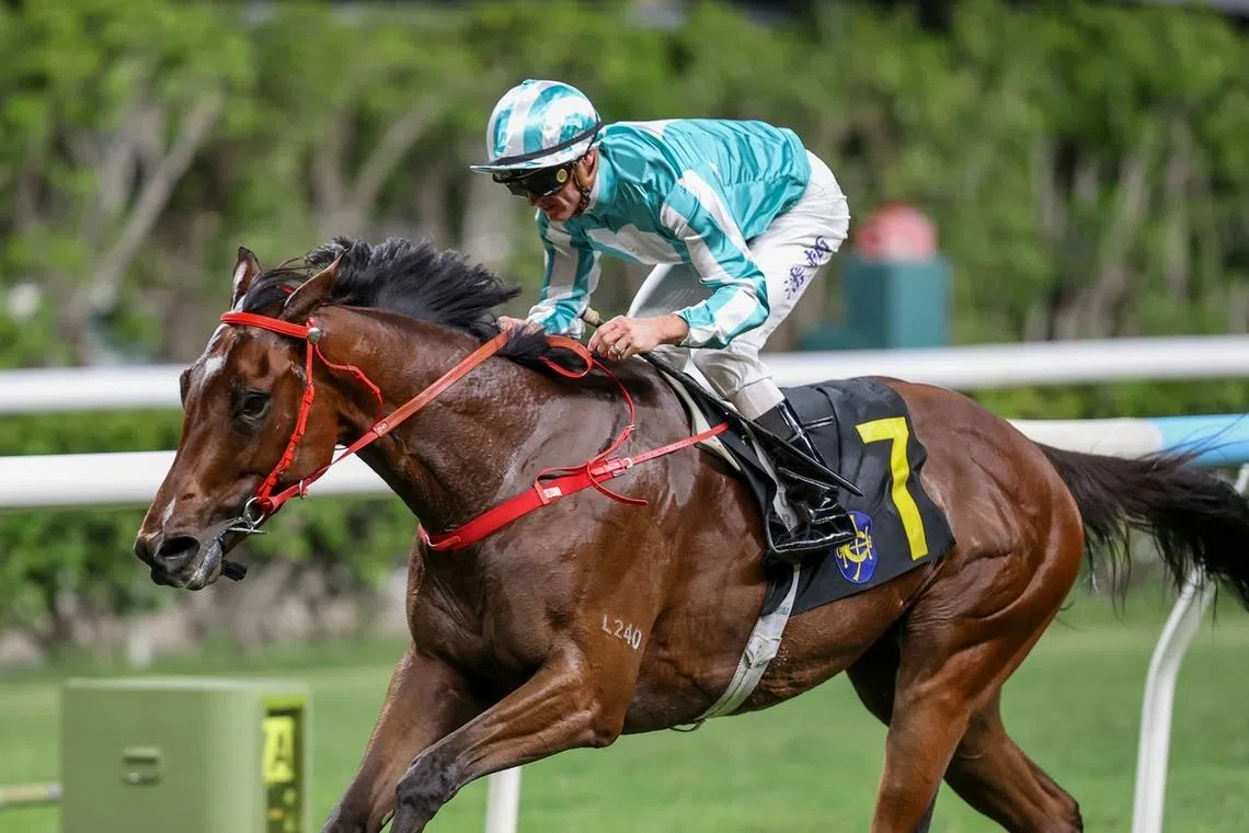 Romantic Gladiator (Zac Purton), who races in the same colours as world champion Romantic Warrior, opening his account at his fith start which came in a Class 3 race over 1,650m at Happy Valley on May 13. 
