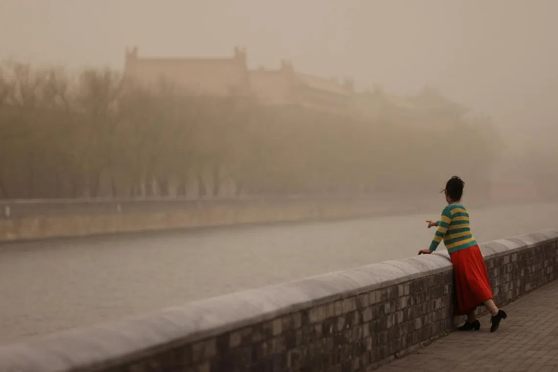 FILE PHOTO: A woman poses for pictures near the Forbidden City, as the city is shrouded in smog amid a sandstorm, in Beijing, China March 10, 2023. REUTERS/Tingshu Wang/File Photo