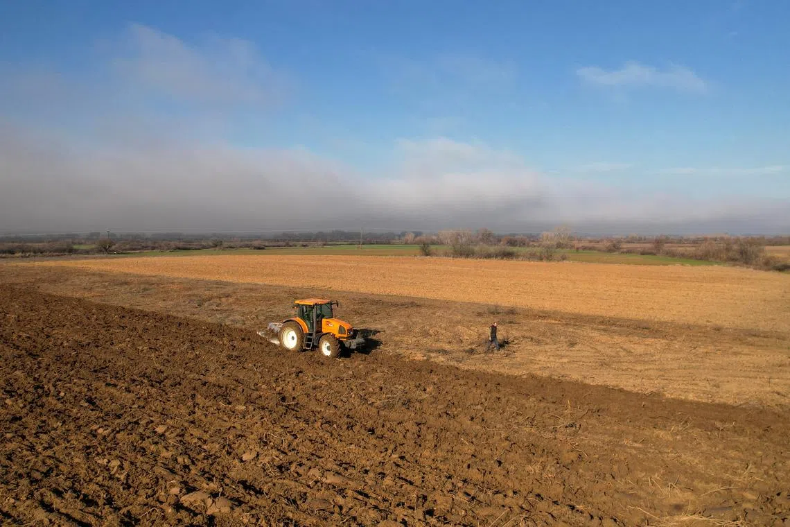 FILE PHOTO: A drone view shows a Greek farmer ploughing his field in Kyprinos, Greece, January 28, 2025. REUTERS /Alexandros Avramidis/File Photo