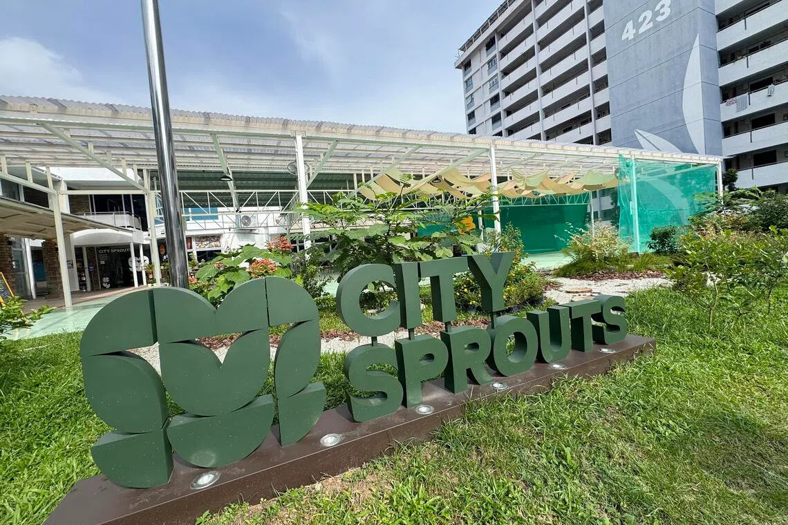 The Butterfly Garden at City Sprouts Bedok, which was repurposed from the Kampong Chai Chee Community Centre.