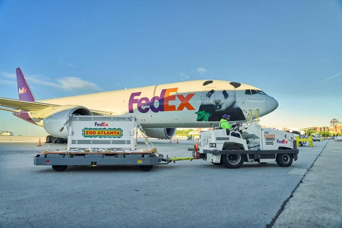A Fedex plane carrying giant pandas Ping Ping and Fu Shuang arrived at Hartsfield-Jackson Atlanta International Airport in Atlanta, Georgia, on Sept 27.