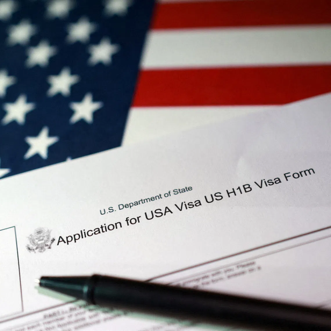 The US President says his immigration crackdown and deportation drive aim to improve domestic security. 