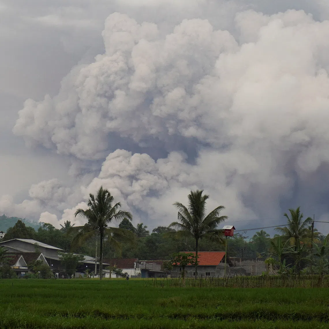 Mount Semeru volcano spews volcanic material during an eruption as seen from Sumbermujur village in Lumajang, East Java province, Indonesia, on Nov 19. 