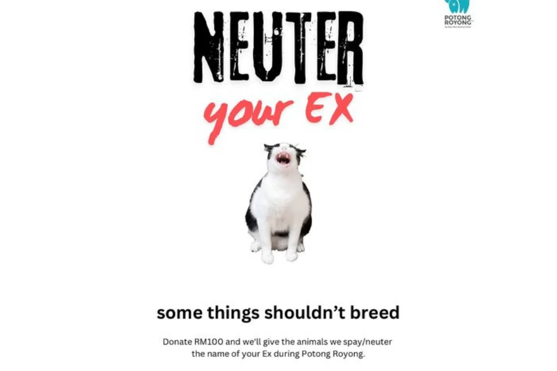 At a fee of RM100, SPCA Selangor will neuter an animal and name it after the donor's chosen ex. 