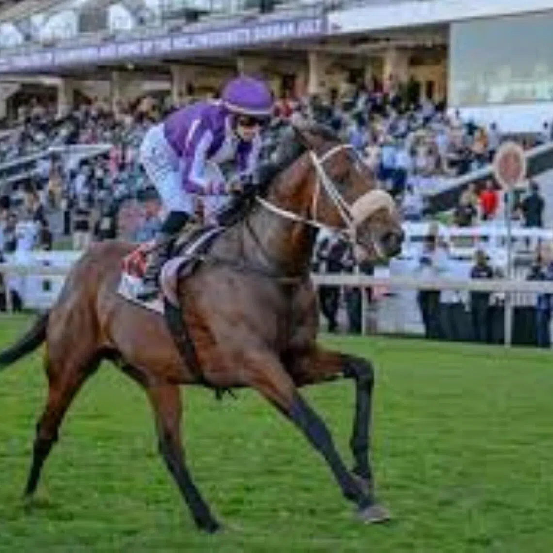  Major (Mickaelle Michel) landing the Grade 2 WSB Guineas (1,600m) at Greyville on May 2.

