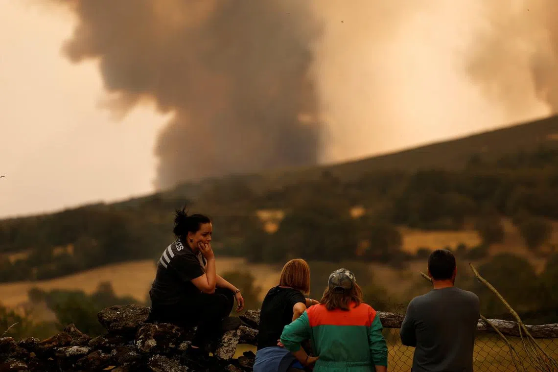 Local residents keep watch as a wildfire approaches the vicinity of Villanueva de la Sierra, Zamora, Spain on Aug 14, 2025.