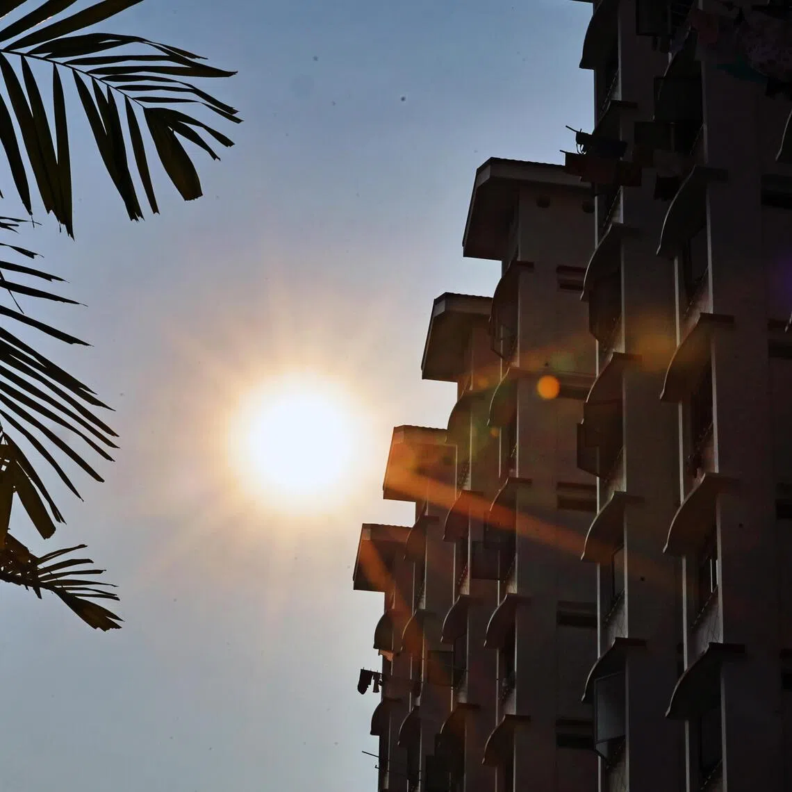 The Meteorological Service Singapore also forecast El Niño conditions to develop in June to July this year.