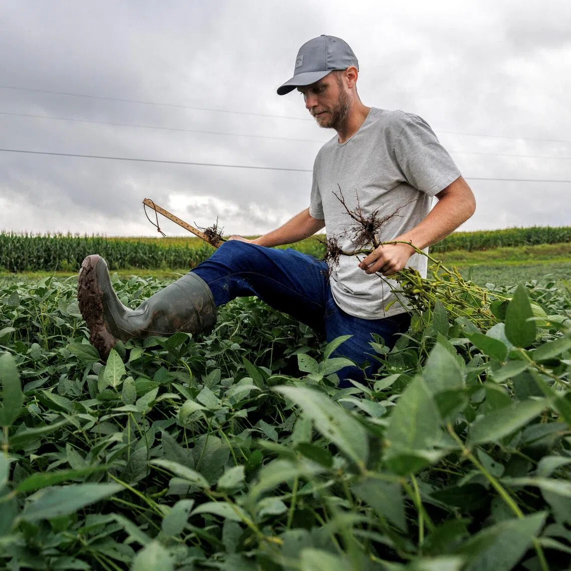 Many believe the US farm economy will continue to be mired in this downturn throughout the coming year.