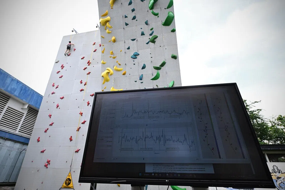 National speed climber Tan Bing Qian taking part in a demonstration at the National Climbing Training Centre.