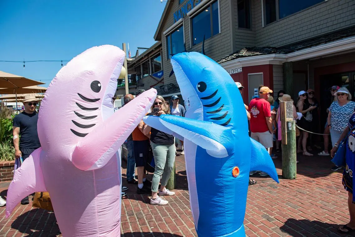 Jaws fans wearing shark outfits dance around during the Jaws 50th Anniversary celebration in Oak Bluffs, Massachusetts on June 21.