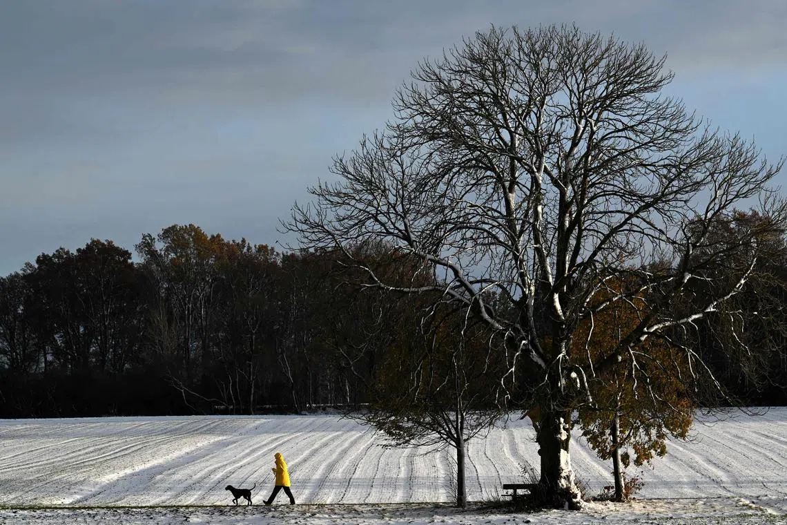 A man taking his dog for a walk along snow-covered fields near the small Bavarian village of Alling, southern Germany, on Nov 26, 2023, after the first light autumn snowfall over the weekend. 