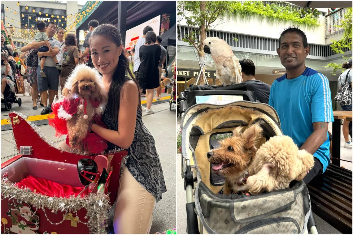 Ms Daphne Hoon, her poodle Apple, and Mr Jay Ramalingam relaxing with his two dogs and cockatoo at the pet-friendly One Holland Village Mall.
