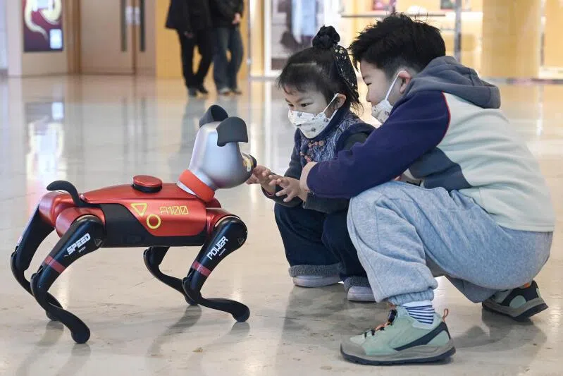 AI robotic pets, such as BabyAlpha, seen here interacting with children at a store in Nanjing, China, will get smarter over time. But the writer wonders if smarter toys are diminishing the value of childhood play.   