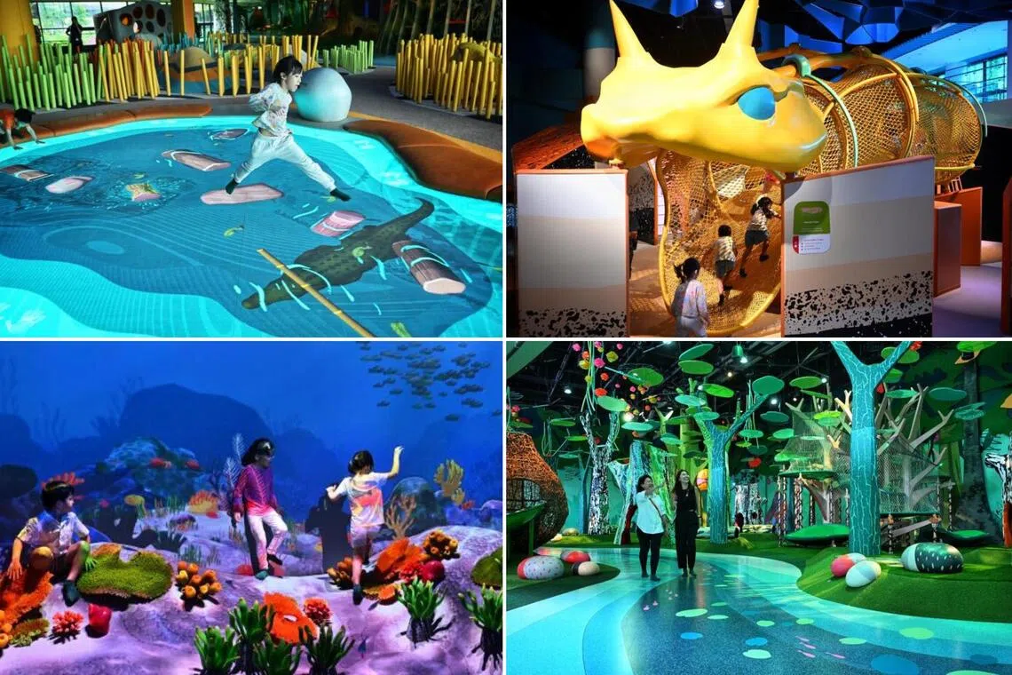 New Curiosity Cove at Mandai Wildlife Reserve, Airzone reopens, free Baby Shark shows