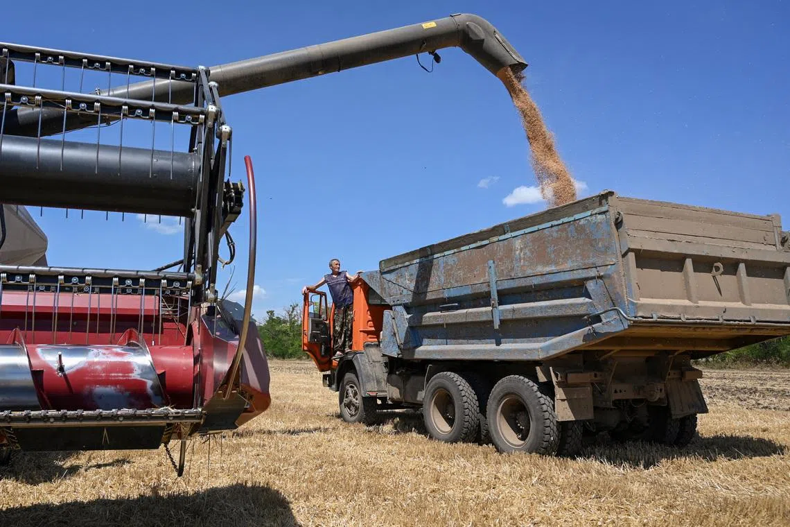 A combine loads a truck with wheat during harvesting in a field in the Rostov Region, Russia July 14, 2026.  REUTERS/Sergey Pivovarov