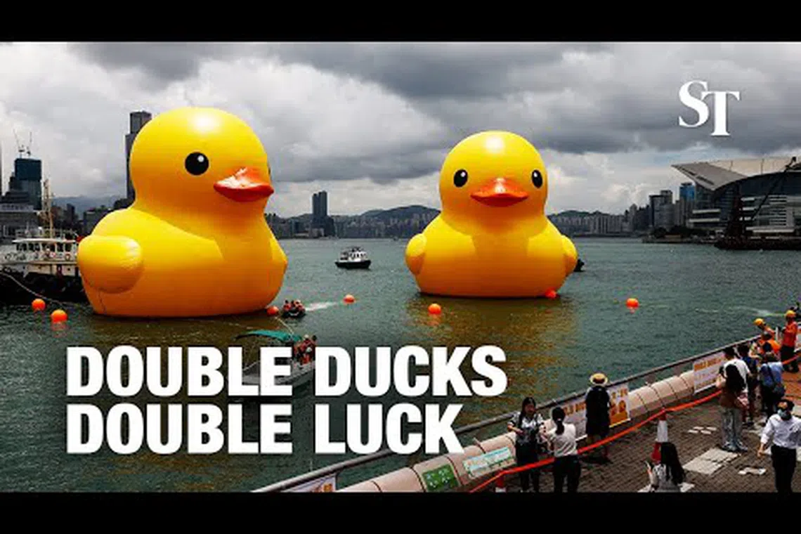 Two giant rubber ducks debut in Hong Kong in bid to drive ‘double ...