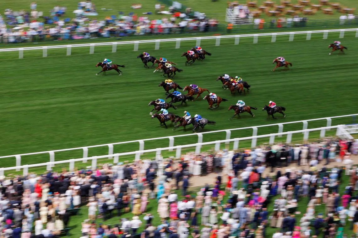 Horses Racing racing at the Royal Ascot 2024, held at the Ascot Racecourse, in Ascot, Britain, on June 18, 2024. 