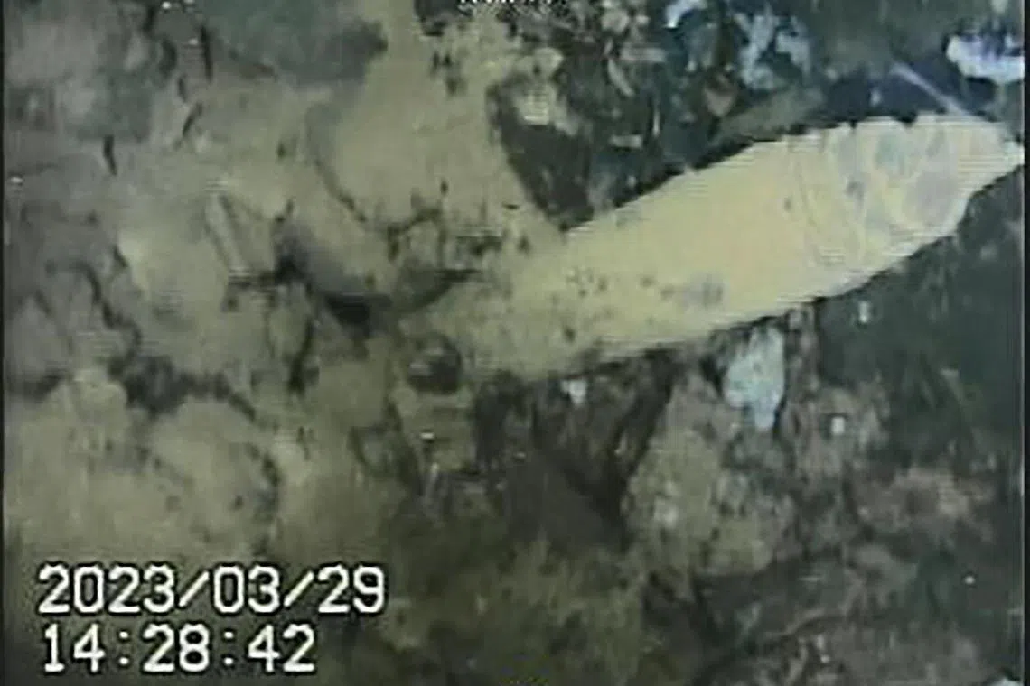 This March 29, 2023 handout image provided by the International Research Institute for Nuclear Decommissioning (IRID) and received from Tokyo Electric Power Company (TEPCO) on April 5, 2023 shows an image taken underwater by a robot of a rod-shaped structure at the bottom of the pedestal, a structure supporting TEPCO's reactor no. 1 at the stricken Fukushima Daiichi nuclear power plant in the town of Okuma, Fukushima prefecture. - Three reactors at the Fukushima Daiichi plant went into meltdown in March 2011 after an earthquake-triggered tsunami left 18,500 dead or missing. (Photo by Handout / Tokyo Electric Power  Company (TEPCO) / AFP) / -----EDITORS NOTE --- RESTRICTED TO EDITORIAL USE - MANDATORY CREDIT "AFP PHOTO / TEPCO" - NO MARKETING - NO ADVERTISING CAMPAIGNS - DISTRIBUTED AS A SERVICE TO CLIENTS - NO ARCHIVES