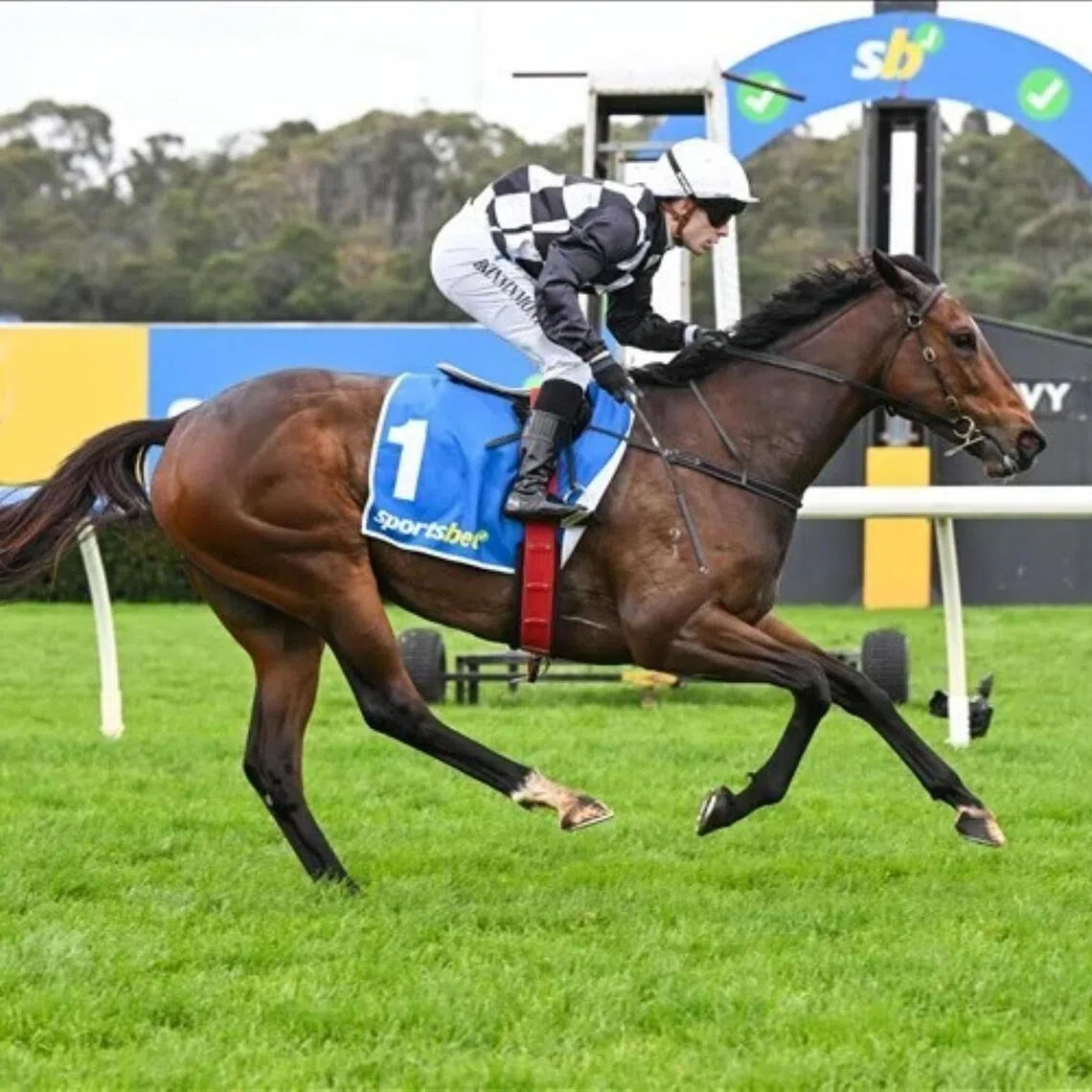 Silent Shares - Victorian apprentice jockey Bailey Kinninmont recording his first metropolitan win, aboard Silent Shares at Sandown on July 15.


PHOTO: RACING PHOTOS