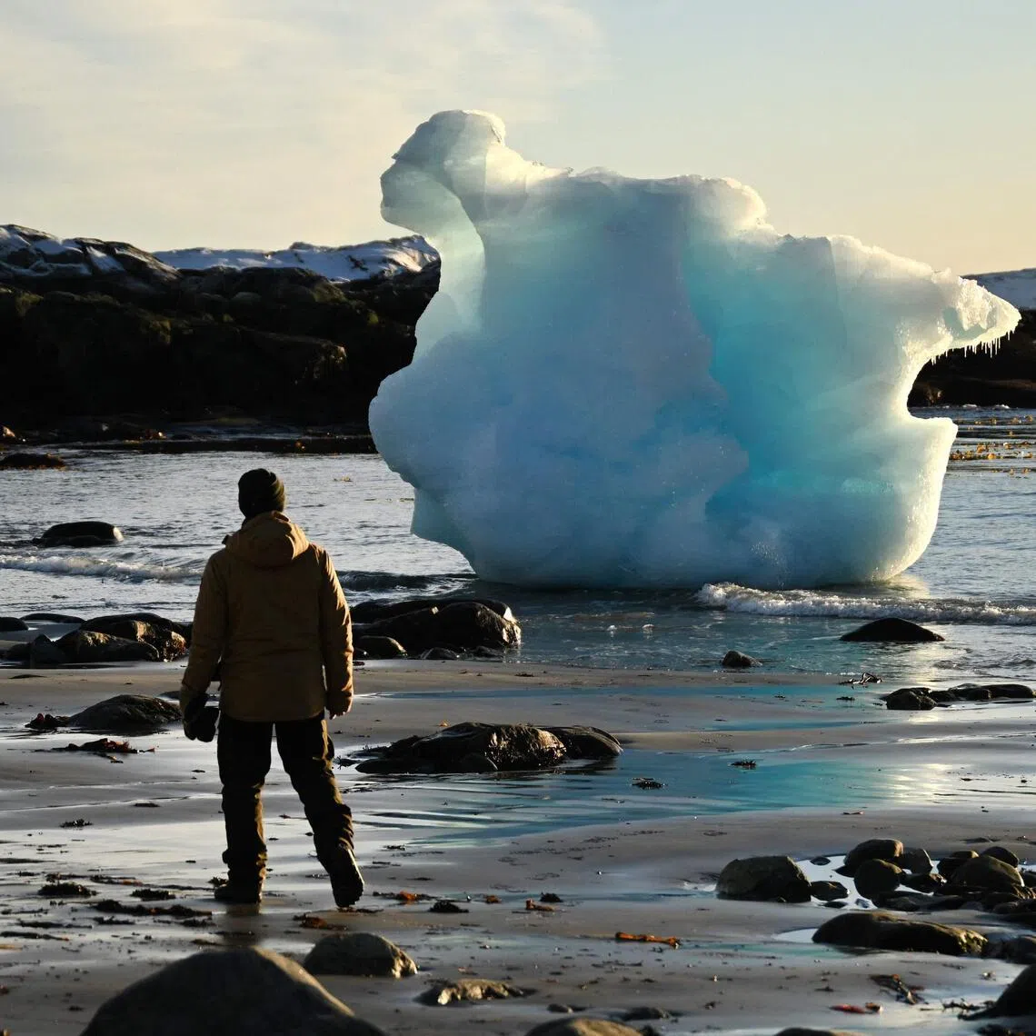 The Arctic region is on the front-line of global warming, heating up four times faster than the rest of the planet.