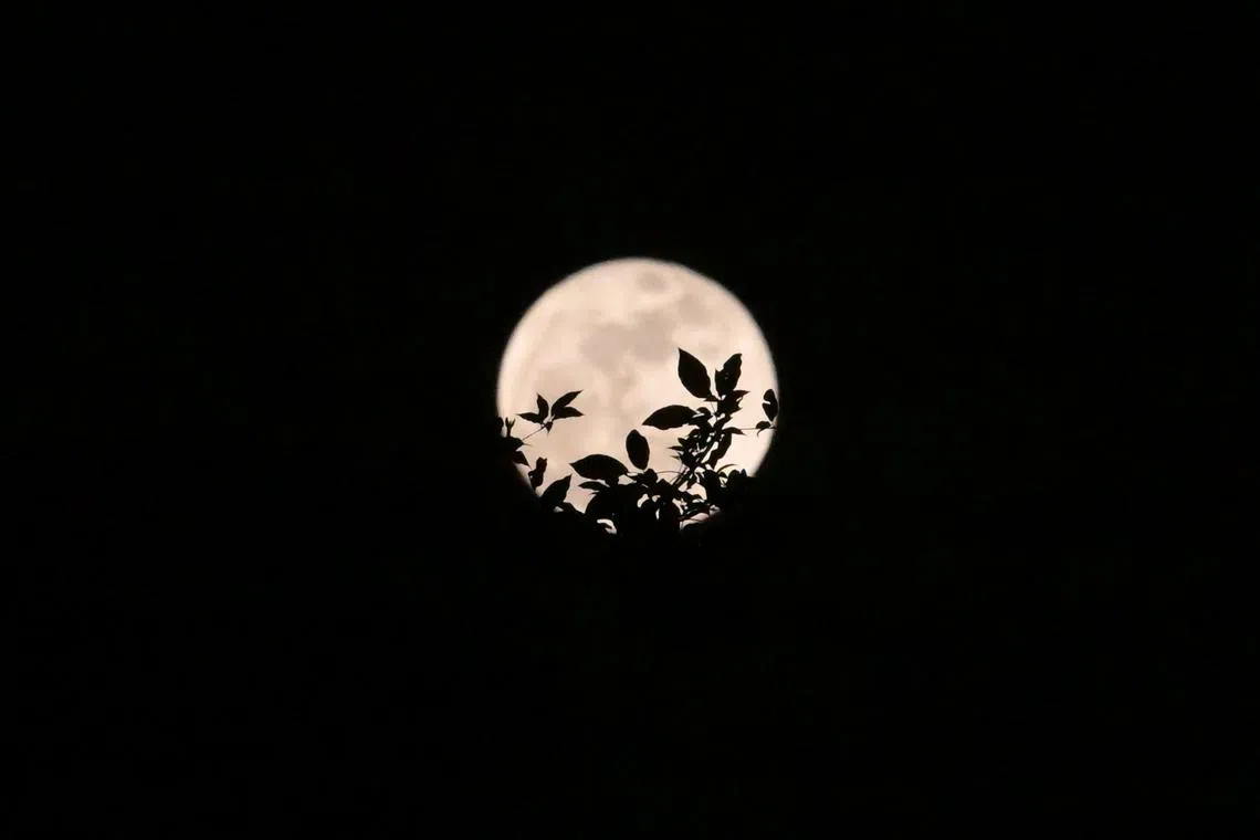 The blue supermoon seen from Bukit Panjang on Aug 31, 2023.
