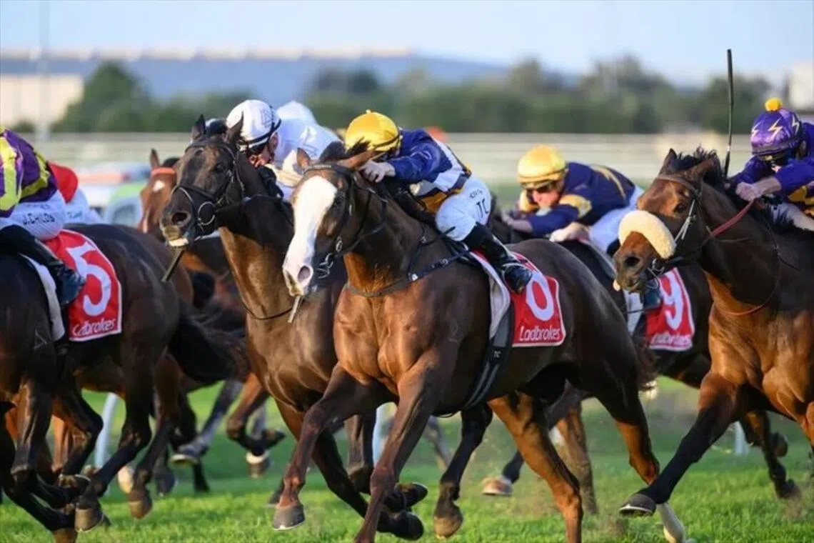 Abounding (Tim Clark) winning the Group 3 BRC Sprint (1,350m) at Doomben on May 23. She subsequently failed in the Group 2 Stradbroke Handicap (1,400m) at Eagle Farm but will now line up in the Group 1 Tattersalls Tiara over the same course and distance on June 27.

