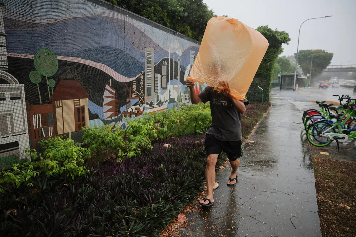 A man shields himself from heavy rain with a plastic sheet while walking along Braddell Road on Sept 11.